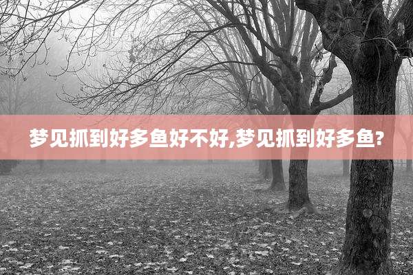 梦见抓到好多鱼好不好,梦见抓到好多鱼?