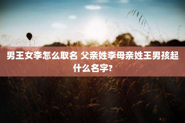 男王女李怎么取名 父亲姓李母亲姓王男孩起什么名字?
