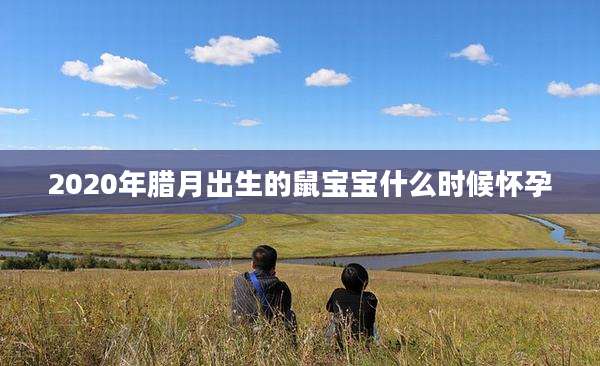 2020年腊月出生的鼠宝宝什么时候怀孕