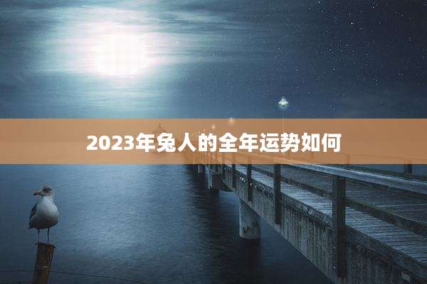 2023年兔人的全年运势如何