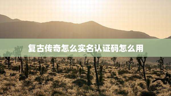 复古传奇怎么实名认证码怎么用