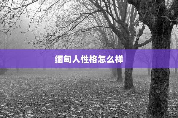 缅甸人性格怎么样