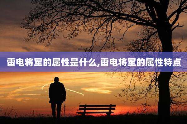 雷电将军的属性是什么,雷电将军的属性特点