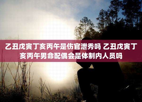 乙丑戊寅丁亥丙午是伤官泄秀吗 乙丑戊寅丁亥丙午男命配偶会是体制内人员吗