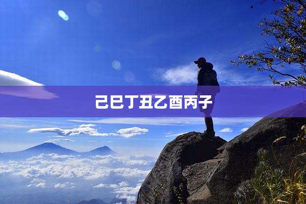 己巳丁丑乙酉丙子