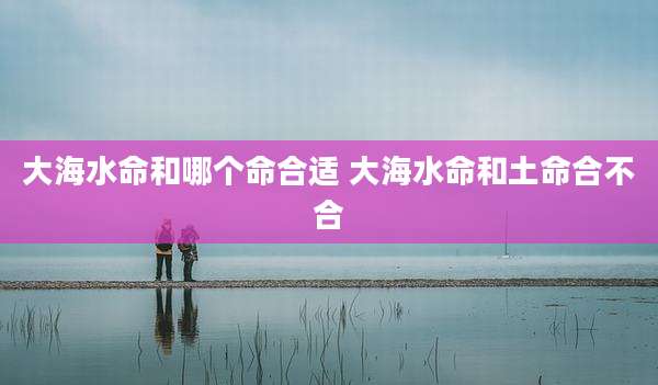 大海水命和哪个命合适 大海水命和土命合不合