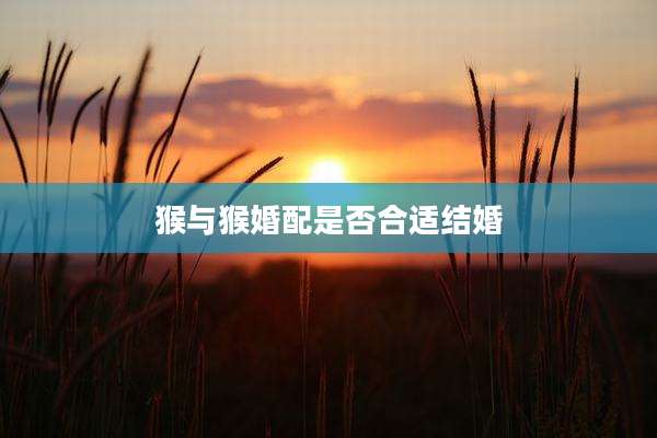 猴与猴婚配是否合适结婚