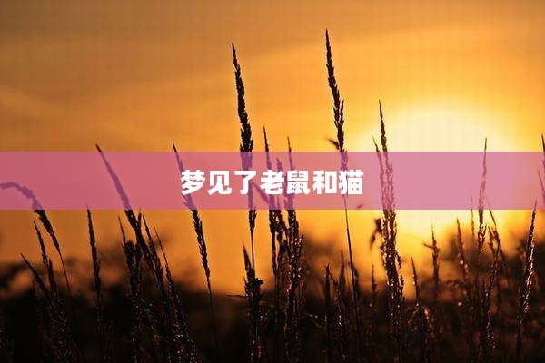 梦见了老鼠和猫