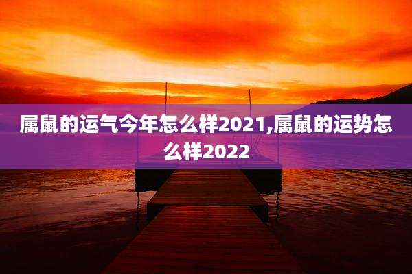 属鼠的运气今年怎么样2021,属鼠的运势怎么样2022
