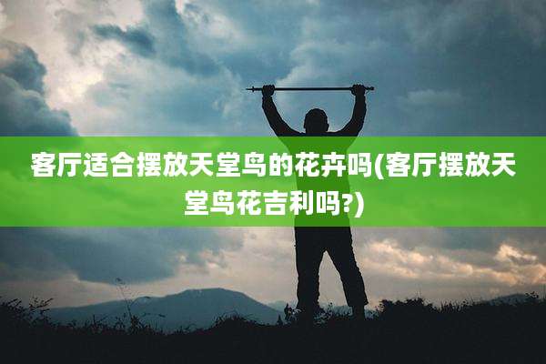 客厅适合摆放天堂鸟的花卉吗(客厅摆放天堂鸟花吉利吗?)