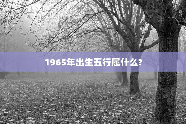 1965年出生五行属什么?