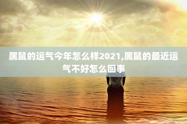 属鼠的运气今年怎么样2021,属鼠的最近运气不好怎么回事