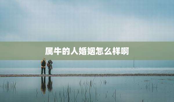 属牛的人婚姻怎么样啊