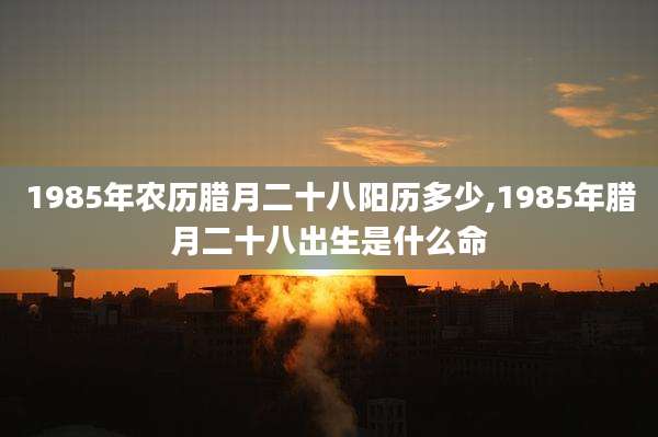 1985年农历腊月二十八阳历多少,1985年腊月二十八出生是什么命