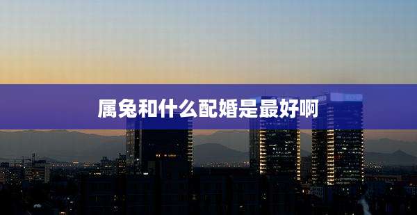 属兔和什么配婚是最好啊