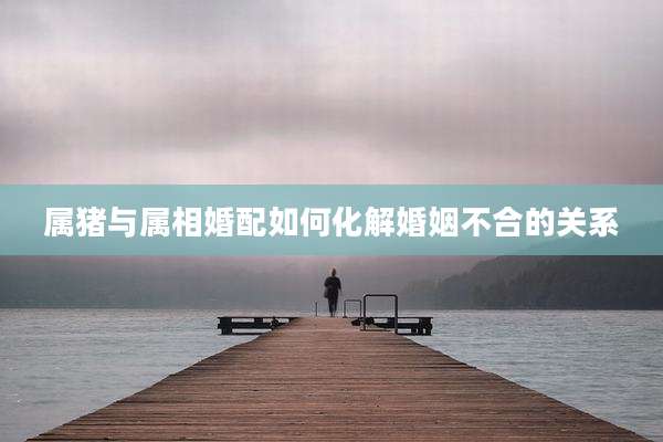 属猪与属相婚配如何化解婚姻不合的关系