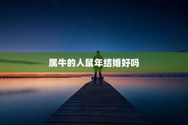 属牛的人鼠年结婚好吗