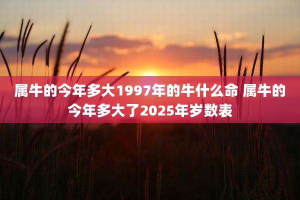属牛的今年多大1997年的牛什么命 属牛的今年多大了2025年岁数表