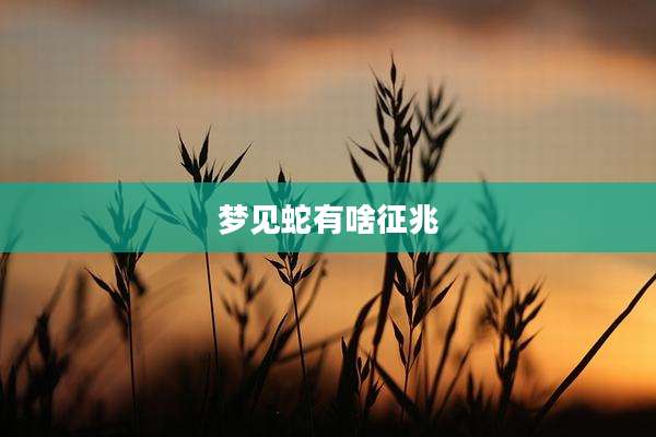 梦见蛇有啥征兆
