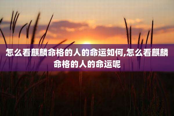 怎么看麒麟命格的人的命运如何,怎么看麒麟命格的人的命运呢