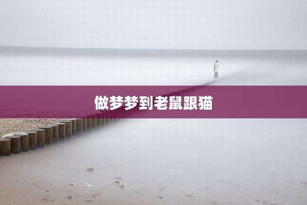 做梦梦到老鼠跟猫