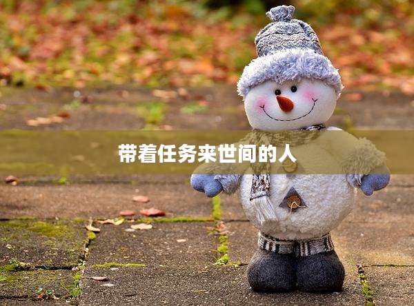 带着任务来世间的人
