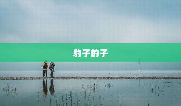 豹子的子