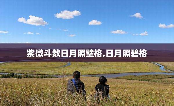 紫微斗数日月照壁格,日月照碧格