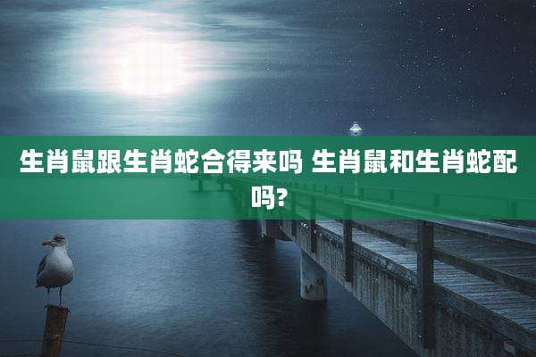 生肖鼠跟生肖蛇合得来吗 生肖鼠和生肖蛇配吗?