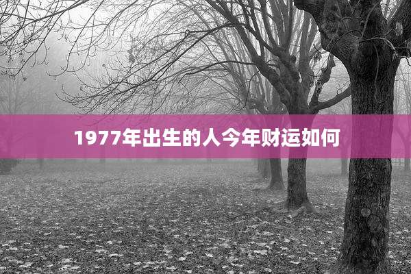 1977年出生的人今年财运如何
