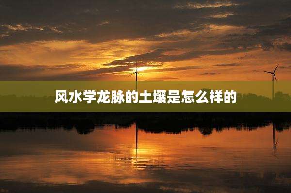 风水学龙脉的土壤是怎么样的