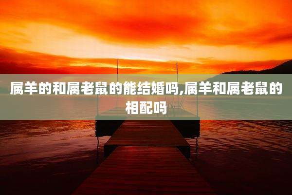 属羊的和属老鼠的能结婚吗,属羊和属老鼠的相配吗