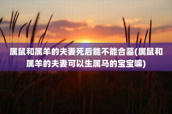 属鼠和属羊的夫妻死后能不能合墓(属鼠和属羊的夫妻可以生属马的宝宝嘛)