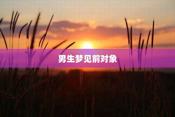 男生梦见前对象