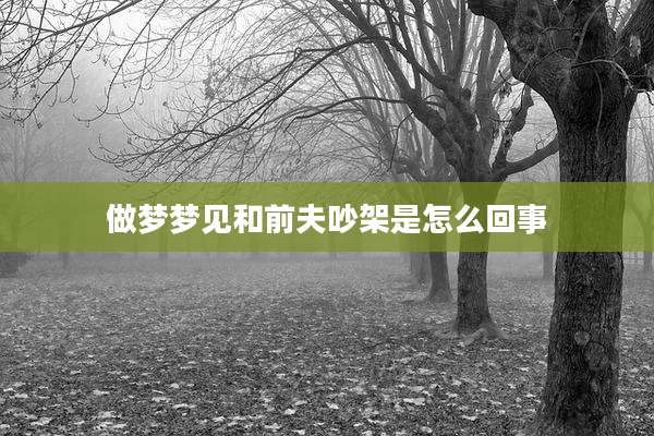 做梦梦见和前夫吵架是怎么回事