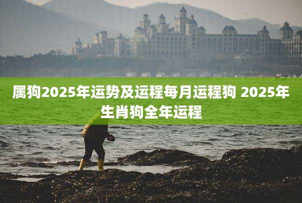 属狗2025年运势及运程每月运程狗 2025年生肖狗全年运程