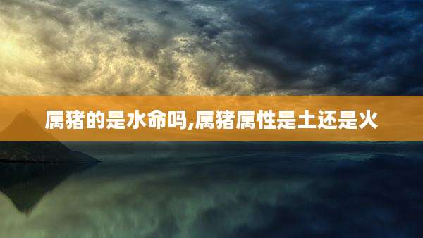 属猪的是水命吗,属猪属性是土还是火