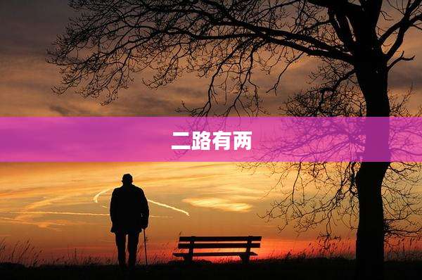 二路有两