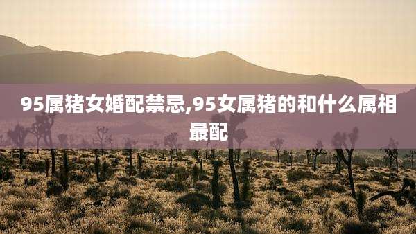 95属猪女婚配禁忌,95女属猪的和什么属相最配