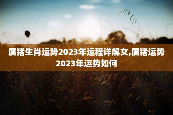 属猪生肖运势2023年运程详解女,属猪运势2023年运势如何