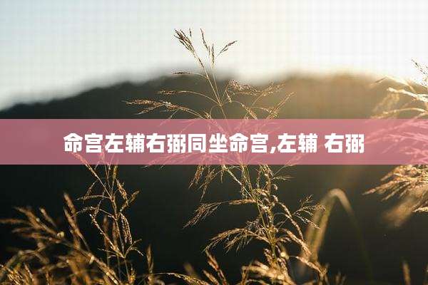 命宫左辅右弼同坐命宫,左辅 右弼