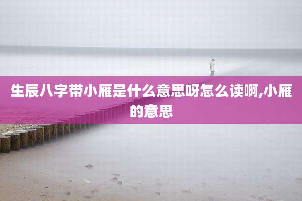 生辰八字带小雁是什么意思呀怎么读啊,小雁的意思