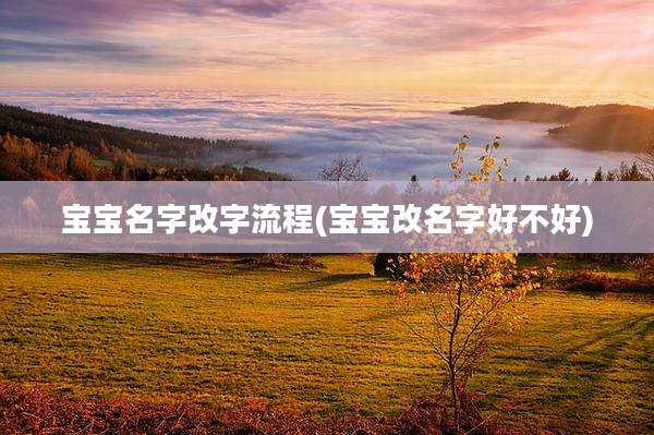 宝宝名字改字流程(宝宝改名字好不好)