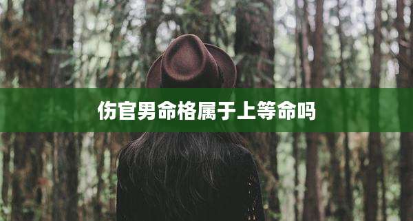 伤官男命格属于上等命吗