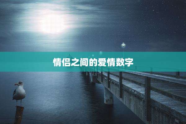 情侣之间的爱情数字