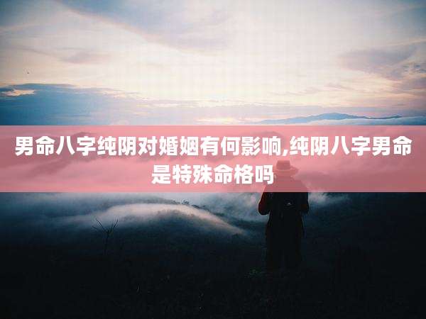 男命八字纯阴对婚姻有何影响,纯阴八字男命是特殊命格吗