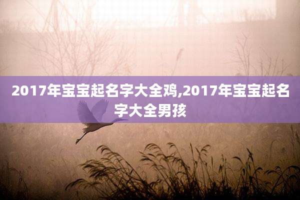2017年宝宝起名字大全鸡,2017年宝宝起名字大全男孩