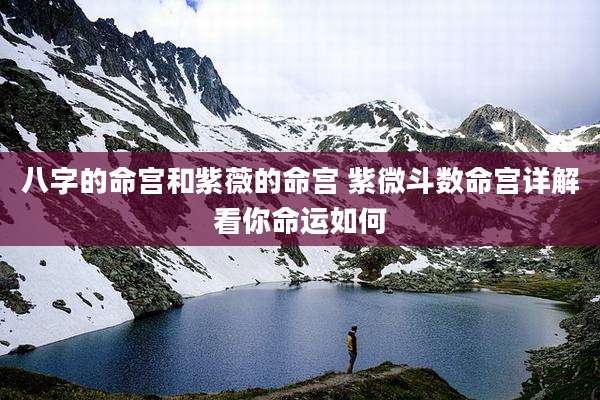八字的命宫和紫薇的命宫 紫微斗数命宫详解看你命运如何