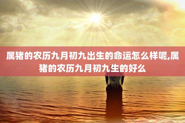 属猪的农历九月初九出生的命运怎么样呢,属猪的农历九月初九生的好么
