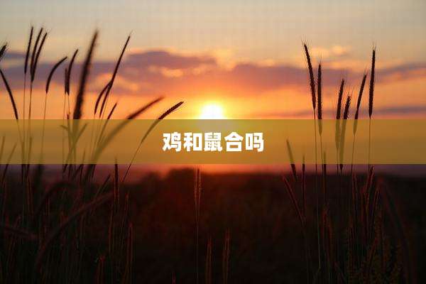 鸡和鼠合吗